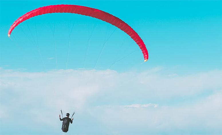 Fly