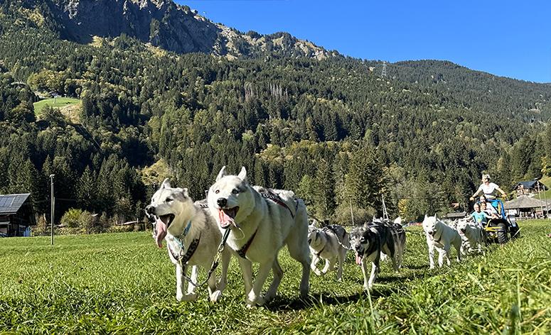 Alpes