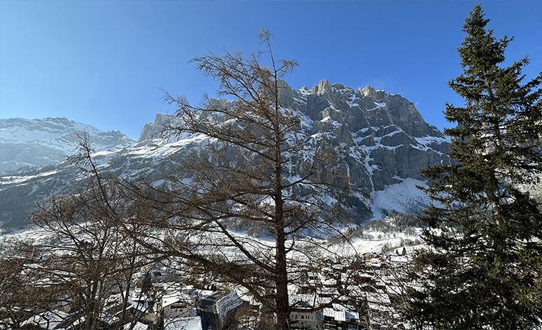 Les Sources des Alpes **** - Résidence & Spa