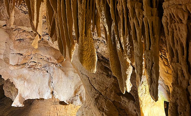 Les grottes de Vallorbe