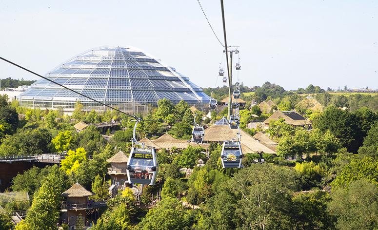 ZooParc de Beauval 