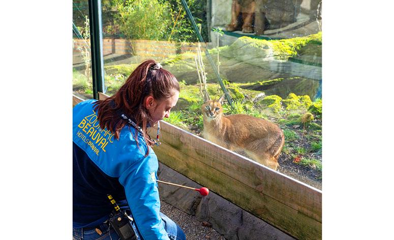 ZooParc de Beauval 